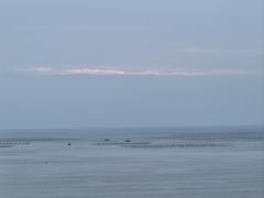 -北岐滩涂