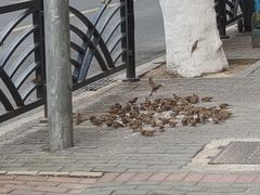 -青岛邮电博物馆