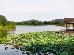 -上海市保健医疗中心