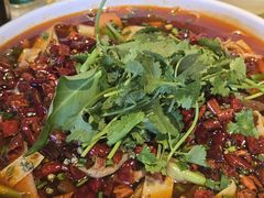 -柏合黄记豆腐皮饭店
