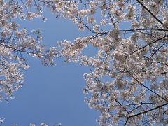 -浙江大学(玉泉校区)