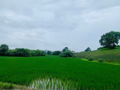 -良渚古城遗址公园