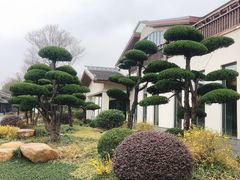 -扬州瘦西湖温泉