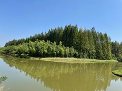 -黄海国家森林公园