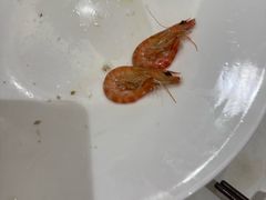 -沪华海鲜大酒楼(南汇店)