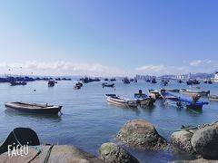 -海源公园