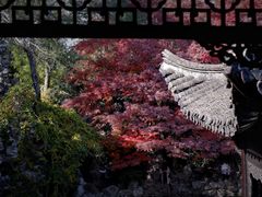 -何园