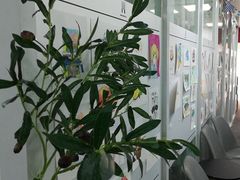 -鼎画艺术机构(贵都店)