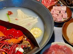 -阳阳老火锅(小南门店)