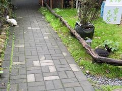 -林间山庄