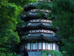 -深圳国际园林花卉博览园