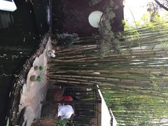竹里馆-新竹里馆·花园餐厅(兴苑路店)