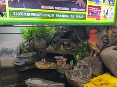 -食德喜·阳山鸡王食研基地