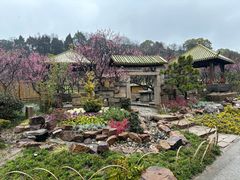 -无锡梅园公园