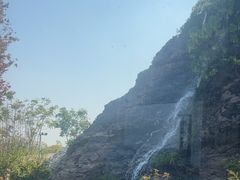 -雅苑中餐厅