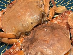 -火舞泰·泰式海鲜火锅餐厅(世纪城店)