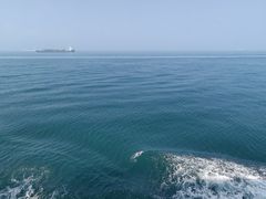 -海安新港(公交站)