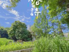 -成都市活水公园