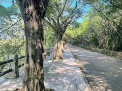 -大湾区中央湿地公园