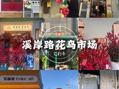 -溪岸路花鸟市场