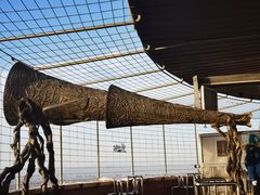 -中央广播电视塔