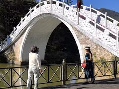 -田野绿世界