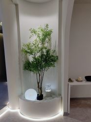 -VE专注问题肌·赛诺龙&科学美肤中心