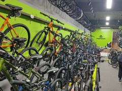 -道路口单车爱瓦士dahon大行