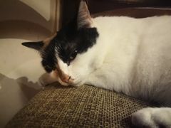 -江湖边·小生活