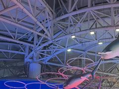 -烟台海昌鲸鲨海洋公园