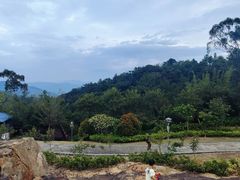 -广州白江湖森林公园