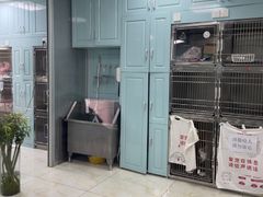 -莘程宠物医院(金山店)