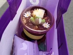 -GANSO元祖食品(滨湖万达店)