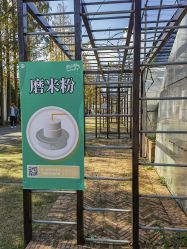 -前小桔亲子创意农场·草莓采摘·露营烧烤