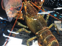 -盒马鲜生(杭州运河上街店)