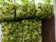 -禾绿寿司·定食·拉面·烧炸(喜荟城店)