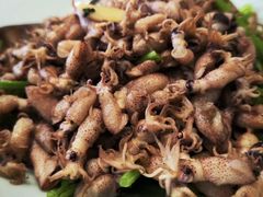 -浩运·海鲜青岛菜·海胆水饺(石老人店)