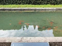 -宁波市保国寺古建筑博物馆