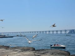 -星海广场