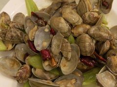 -陶然饺子城(奥体中路店)