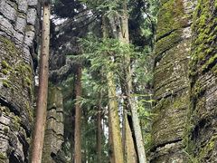 -梭布垭石林景区