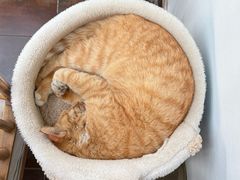 -Vanillacafe香草咖啡(银海大世界店)