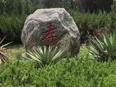 -大槐树寻根祭祖园