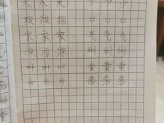 -赵汝飞练字硬笔书法(长寿路校区)