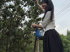 -宝岩生态观光园
