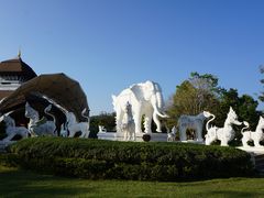 -清迈夜间动物园