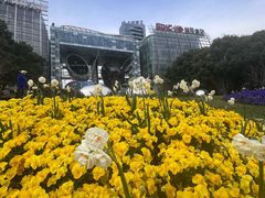 -北外滩滨江绿地