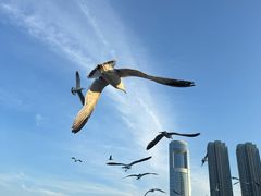 -星海广场