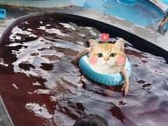 -嘉佑温泉水世界
