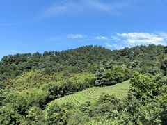 -敬亭山风景名胜区